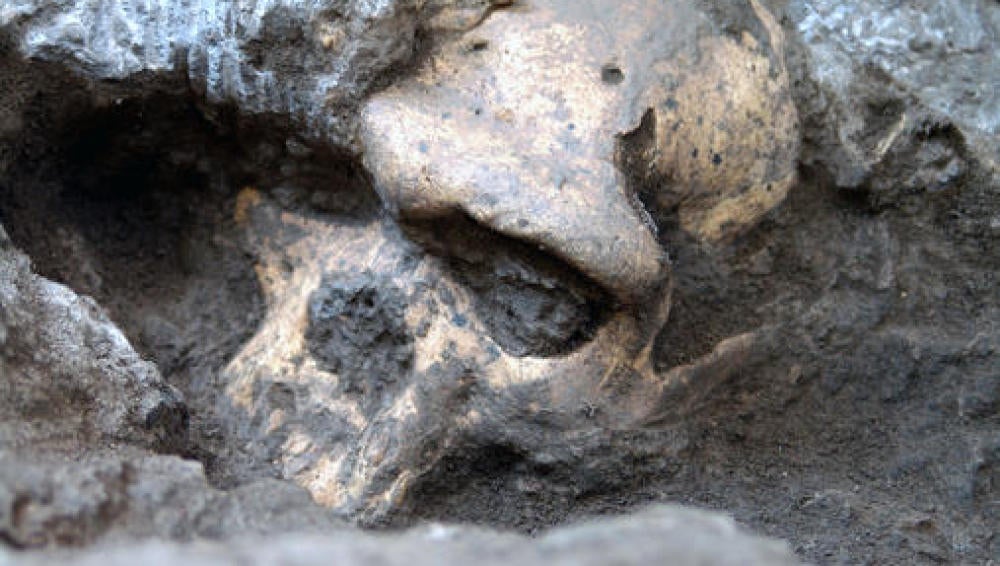 El rostro del cráneo 5, el 'Homo' que engloba a todos los conocidos