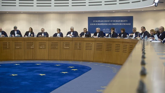 La Gran Sala del Tribunal Europeo de Derechos Humanos La Gran Sala del Tribunal Europeo de Derechos Humanos
