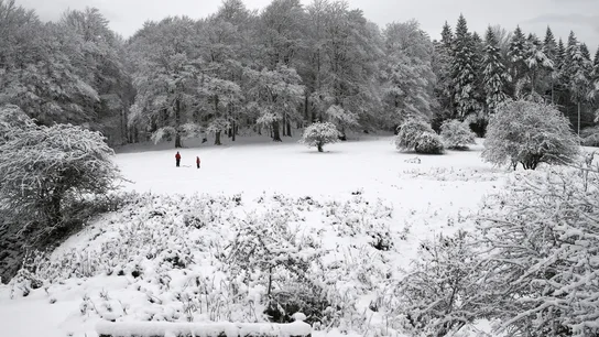 Primeras nieves Primeras nieves