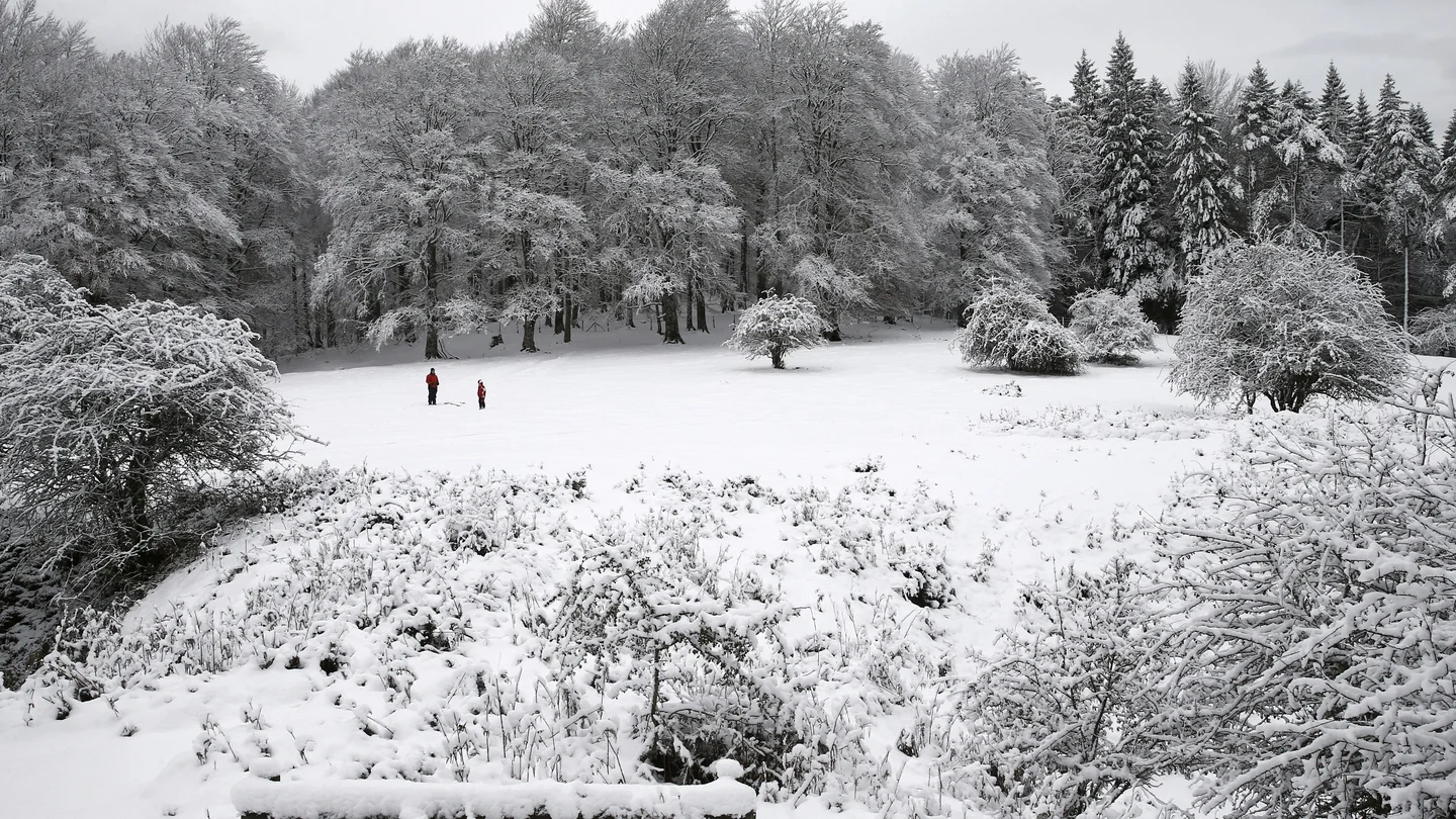 Primeras nieves Primeras nieves