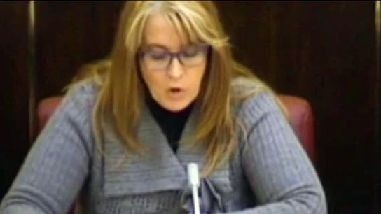 Llanos Navarro cree que el gobierno de Zapatero es responsable de la creciente violencia de género Llanos Navarro cree que el gobierno de Zapatero es responsable de la creciente violencia de género