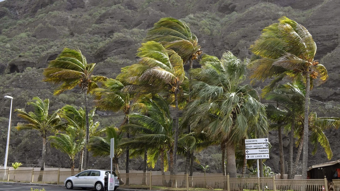 El Cabildo de La Palma ha activado el Plan Insular de Emergencias El Cabildo de La Palma ha activado el Plan Insular de Emergencias