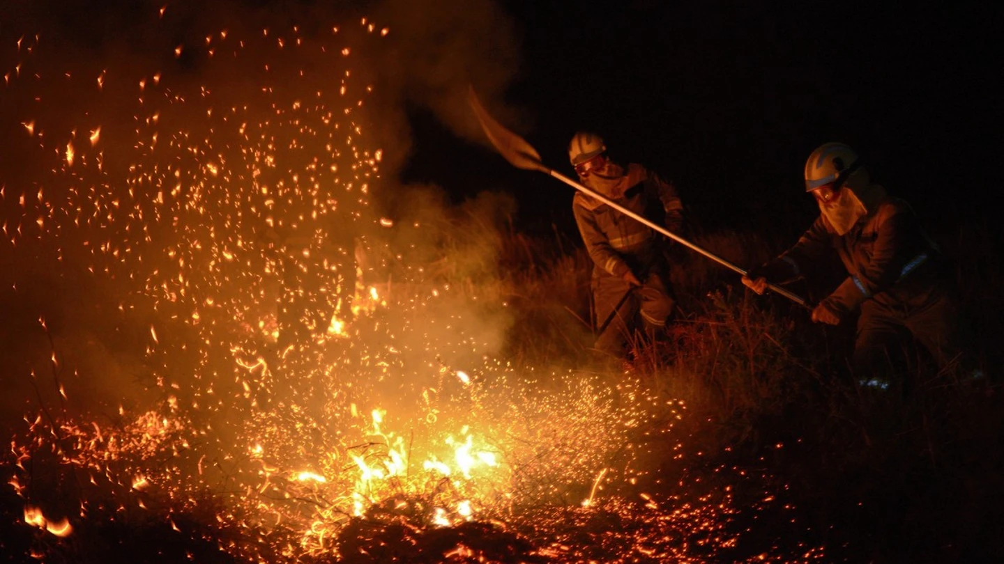 Brigadistas trabajan en las labores de extinción Brigadistas trabajan en las labores de extinción