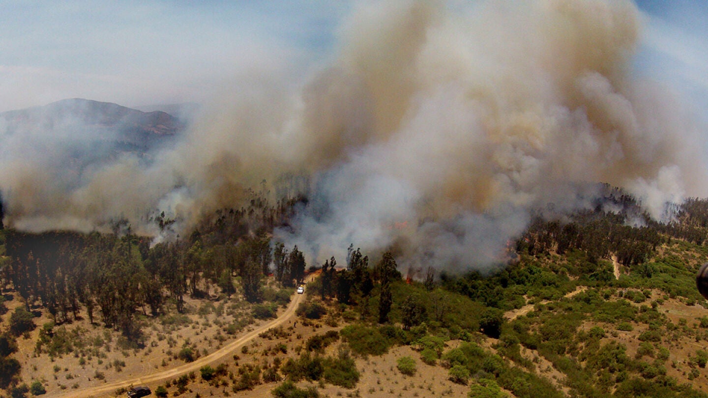 Un incendio forestal en el puerto chileno de Valpara&iacute;so destruye 14 casas y obliga a evacuar m&aacute;s de 100 viviendas