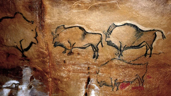 Las cuevas de Altamira Las cuevas de Altamira
