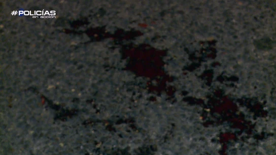 Sangre de la víctima en el suelo Sangre de la víctima en el suelo