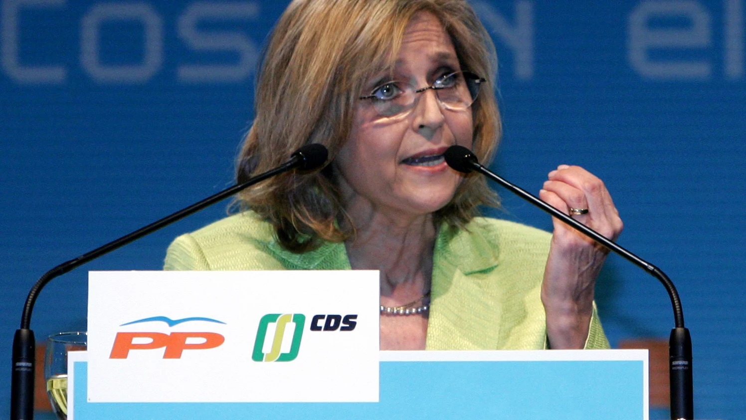 La diputada en la Asamblea de Madrid María Teresa Gómez-Limón La diputada en la Asamblea de Madrid María Teresa Gómez-Limón