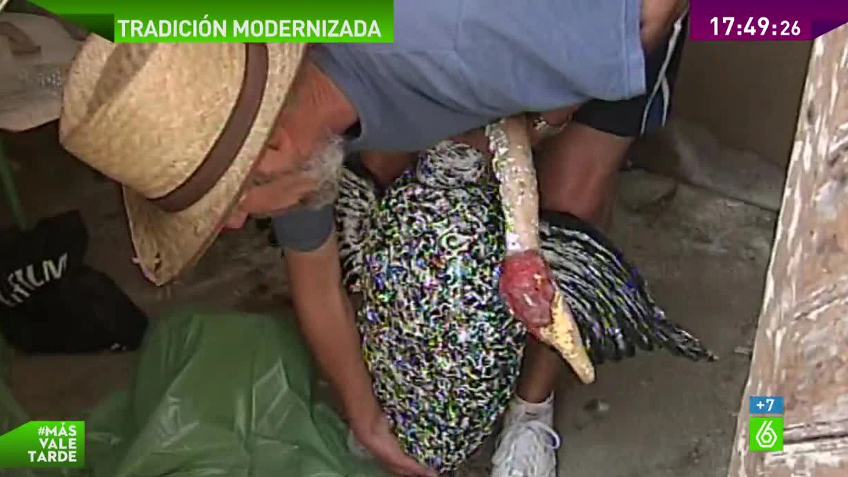 Vizcaya incluye aves de goma en el Día del Ganso tras recibir denuncias de las protectoras Vizcaya incluye aves de goma en el Día del Ganso tras recibir denuncias de las protectoras