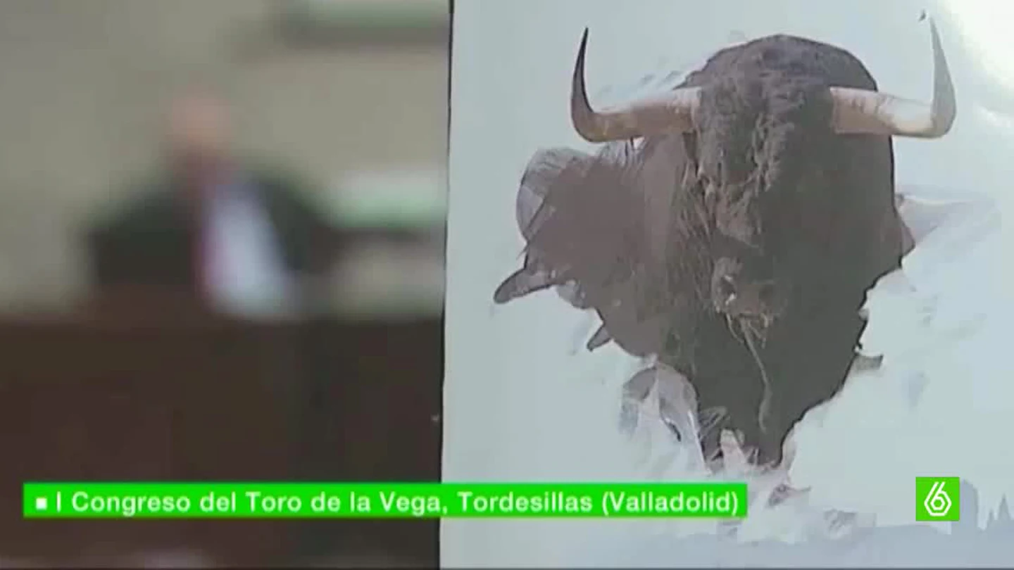 I congreso del Toro de la Vega I congreso del Toro de la Vega