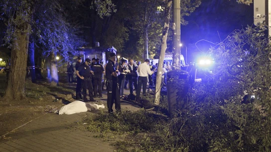 Fallece un hombre al ser golpeado por la rama de un árbol Fallece un hombre al ser golpeado por la rama de un árbol