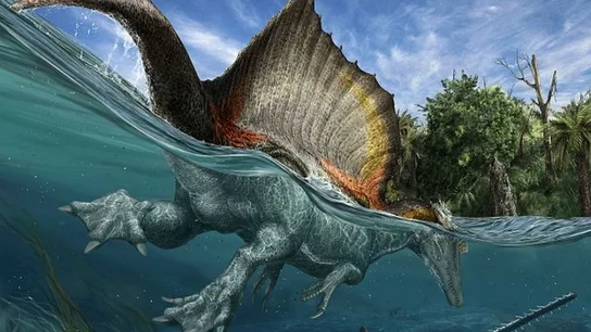 Spinosaurus aegyptiacus Spinosaurus aegyptiacus