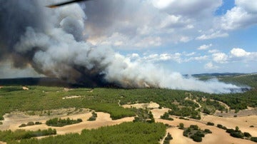 Incendio forestal declarado en Almansa (Albacete)