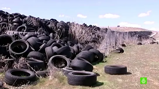 Neumáticos en el campo Neumáticos en el campo