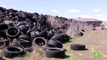 Neumáticos en el campo