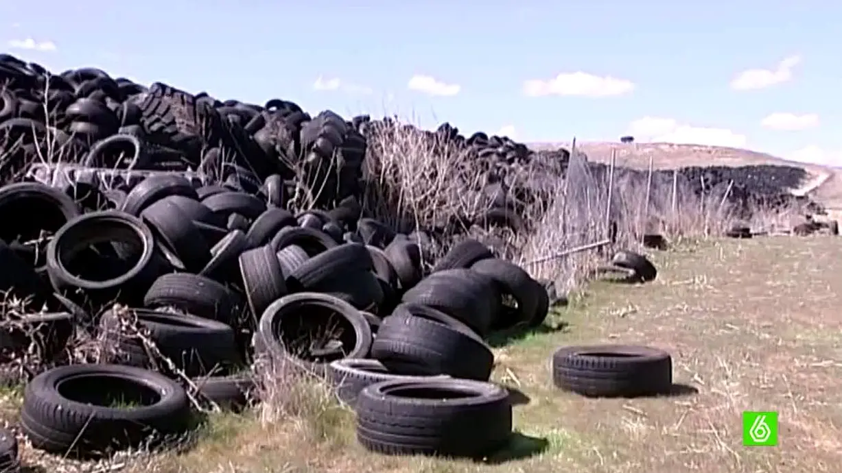 Neumáticos en el campo