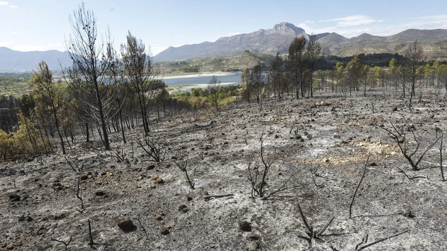 Zona afectada por el incendio forestal de Planes Zona afectada por el incendio forestal de Planes