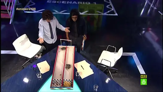 La tortugamancia La tortugamancia