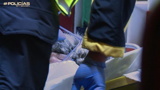 Víctimas de un incendio inesperadas Víctimas de un incendio inesperadas