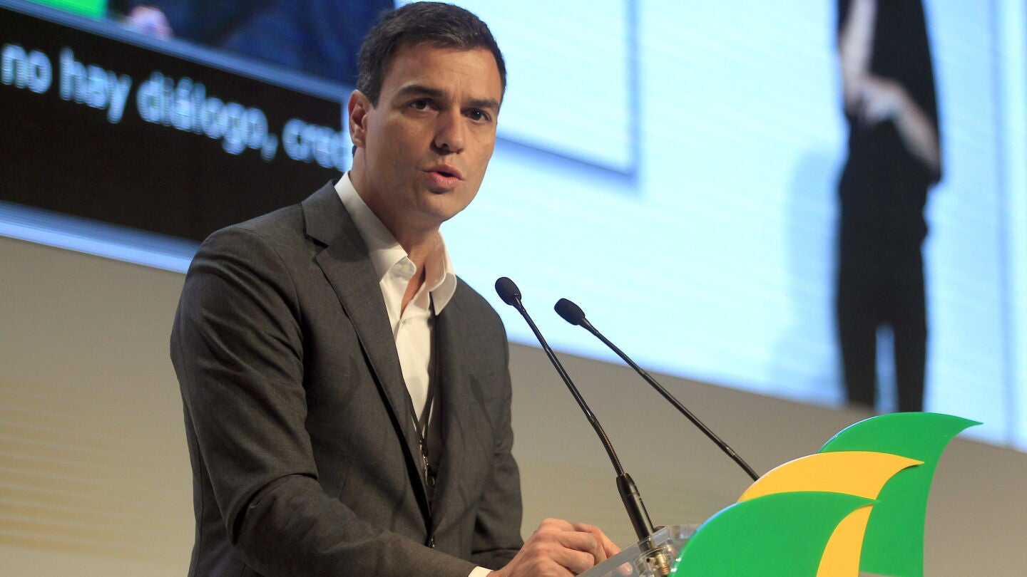 El secretario general del PSOE, Pedro S&aacute;nchez