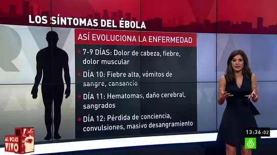 Lorena Baeza analiza cómo actúa el Ébola Lorena Baeza analiza cómo actúa el Ébola