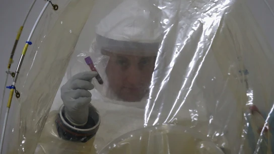 Investigación contra el ébola Investigación contra el ébola
