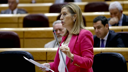 La ministra de Fomento, Ana Pastor La ministra de Fomento, Ana Pastor