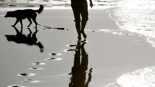 Una mujer pasea con su perro por la playa Una mujer pasea con su perro por la playa