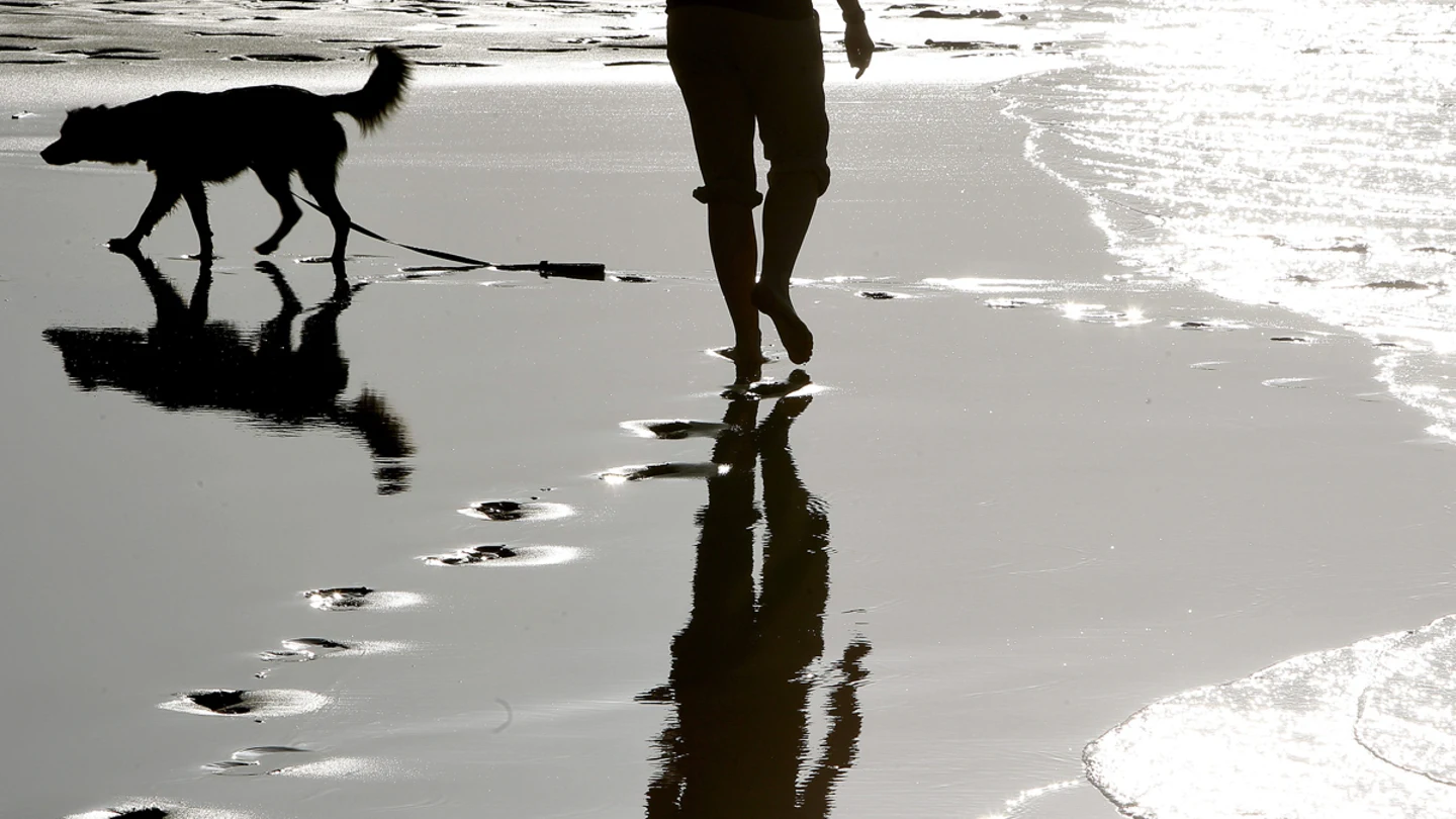 Una mujer pasea con su perro por la playa Una mujer pasea con su perro por la playa