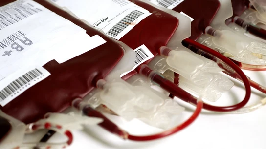 En la imagen varias unidades de sangre AB+ En la imagen varias unidades de sangre AB+