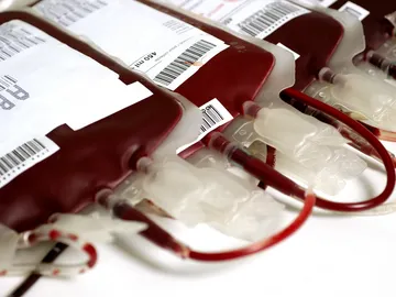 En la imagen varias unidades de sangre AB+ En la imagen varias unidades de sangre AB+