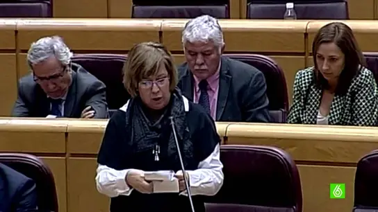 Carmen Menéndez, senadora del PSOE Carmen Menéndez, senadora del PSOE