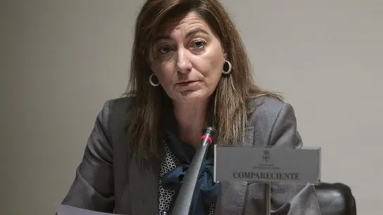 Esther Díaz, exconsejera de Bienestar social y vivienda de Asturias Esther Díaz, exconsejera de Bienestar social y vivienda de Asturias