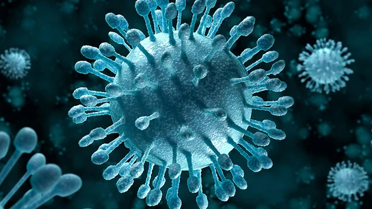 Virus de la hepatitis C Virus de la hepatitis C