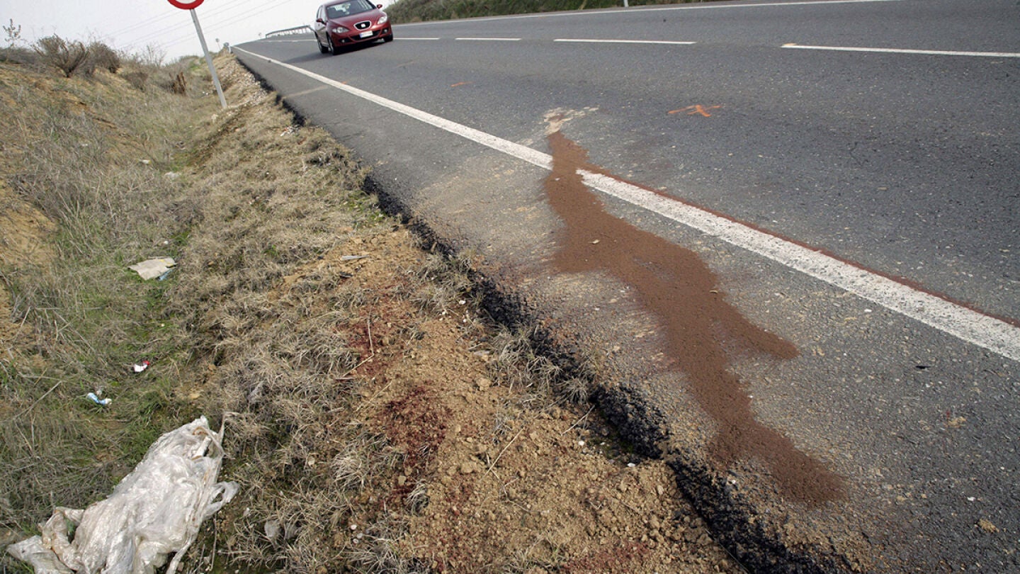 Lugar de la carretera donde tres ni&ntilde;as han fallecido tras ser atropelladas por un turismo.