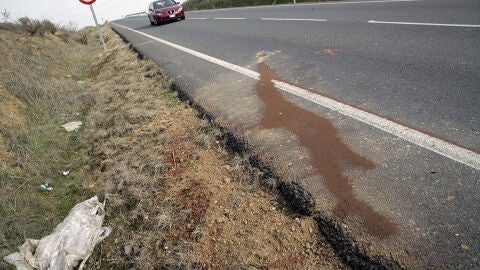 Lugar de la carretera donde tres ni&ntilde;as han fallecido tras ser atropelladas por un turismo.