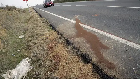 Lugar de la carretera donde tres niñas han fallecido tras ser atropelladas por un turismo. Lugar de la carretera donde tres niñas han fallecido tras ser atropelladas por un turismo.