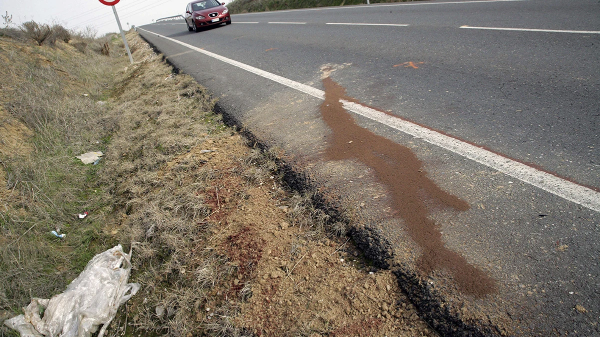 Lugar de la carretera donde tres niñas han fallecido tras ser atropelladas por un turismo.