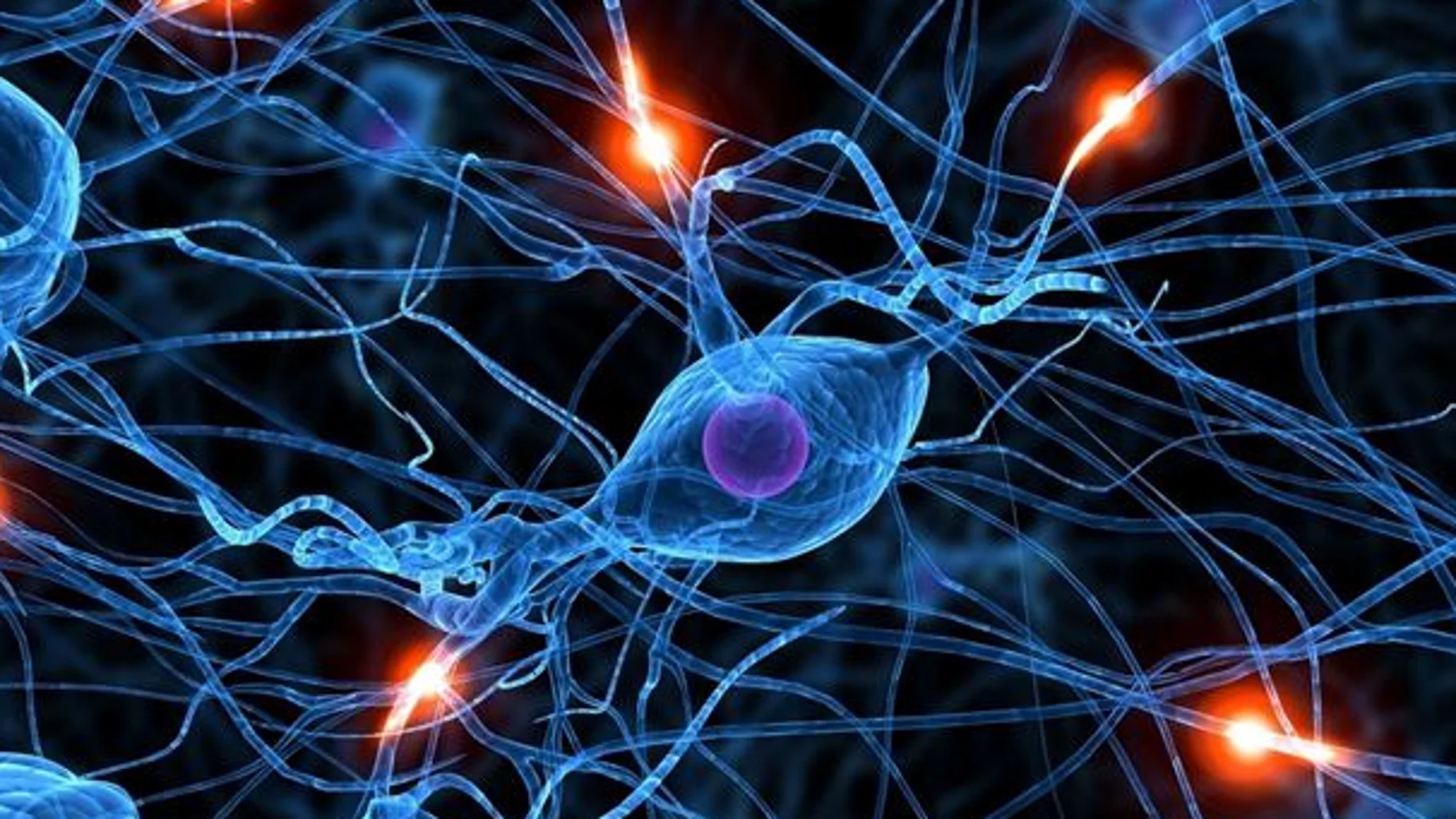 Investigan las conexiones cerebrales para tratar el alzhéimer
