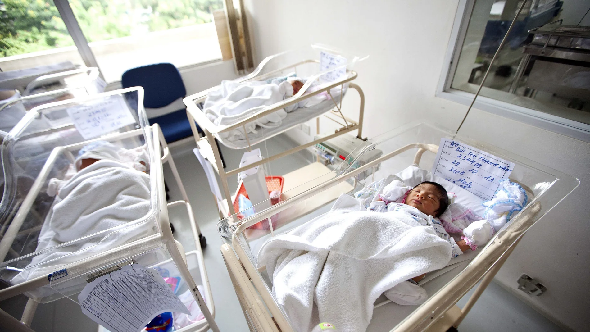 Imagen de archivo de bebés recién nacidos en sus cunas en un hospital