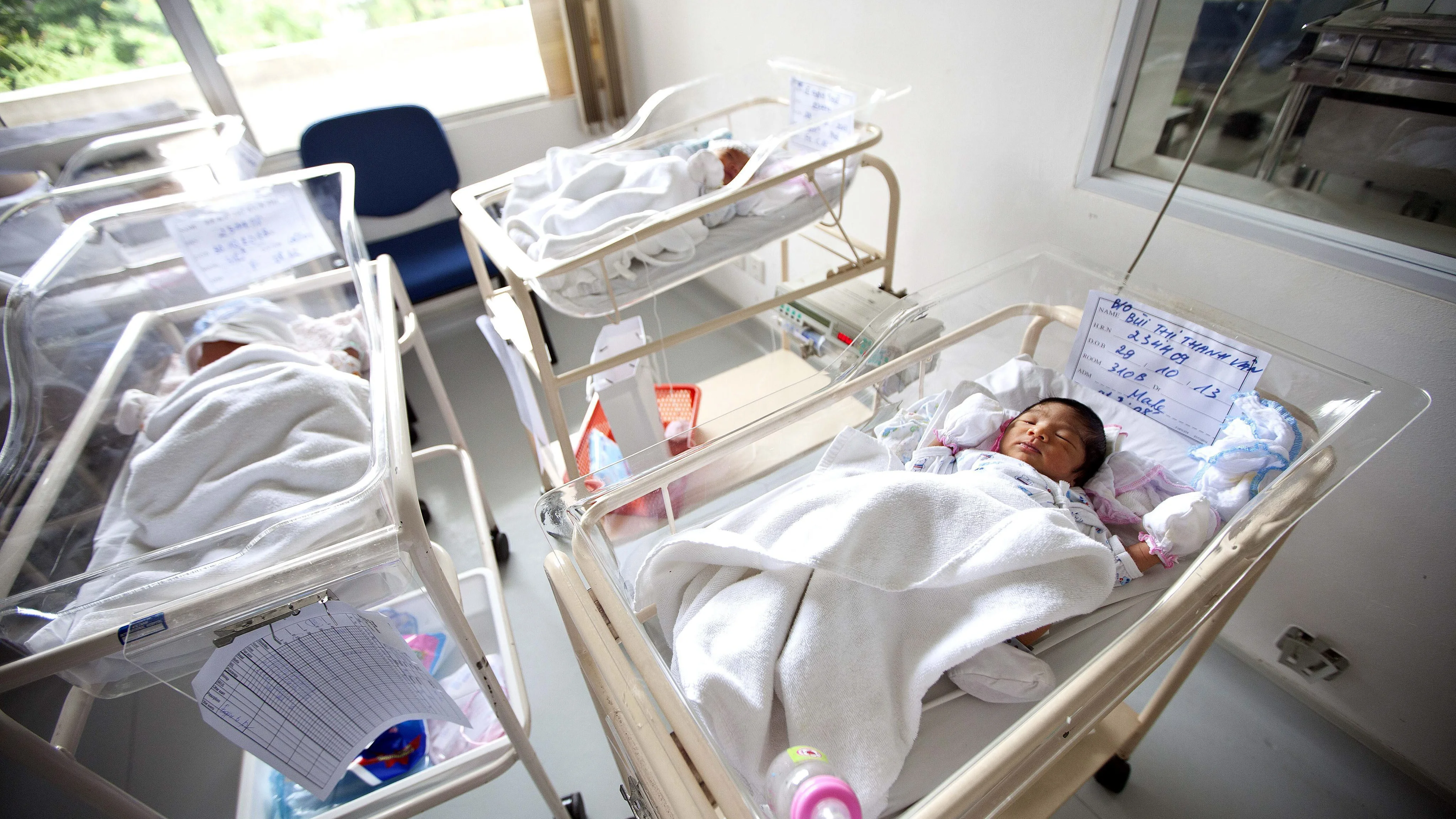 Imagen de archivo de bebés recién nacidos en sus cunas en un hospital