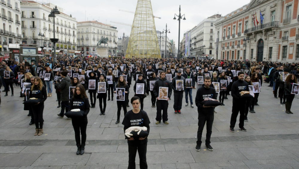 400 personas se han concentrado en la Puerta del Sol para protestar contra el maltrato animal