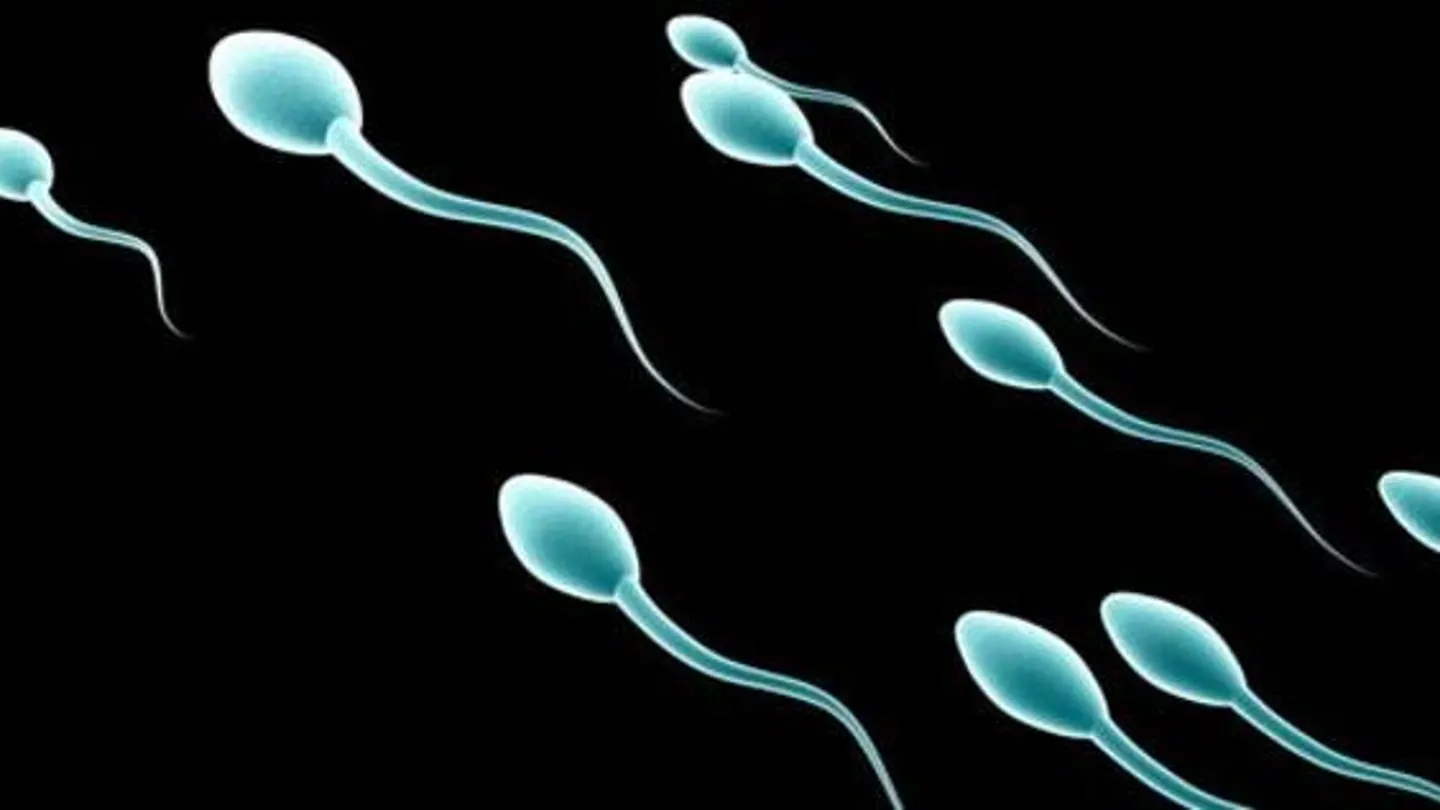 El sabor del semen depende de nuestra dieta. El sabor del semen depende de nuestra dieta.