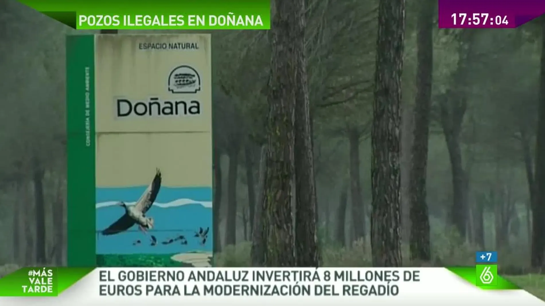 Parque Natural de Doñana. 