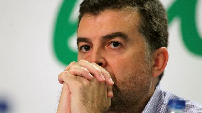 Antonio Maíllo, coordinador de IU Andalucía