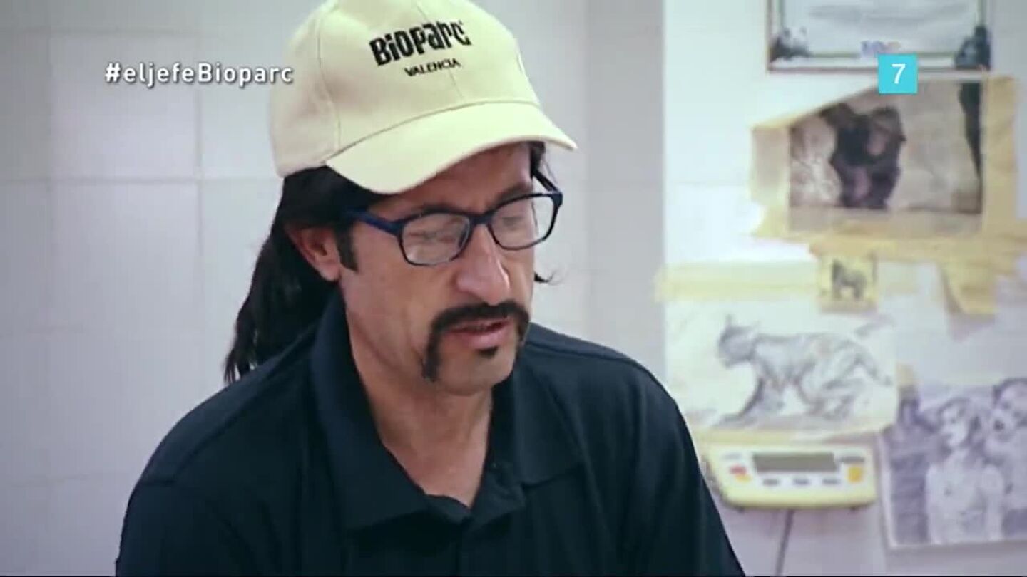 El Jefe Bioparc promo