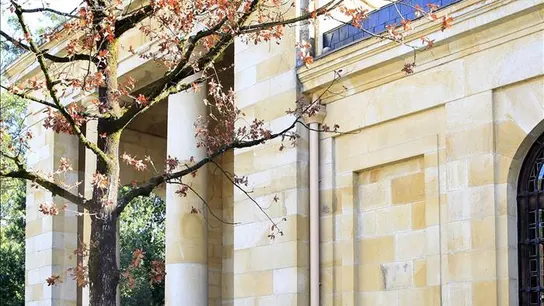Árbol de Gernika Árbol de Gernika
