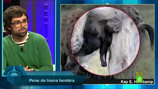 Ricardo Moure sobre las "mutaciones" de sexo Ricardo Moure sobre las "mutaciones" de sexo