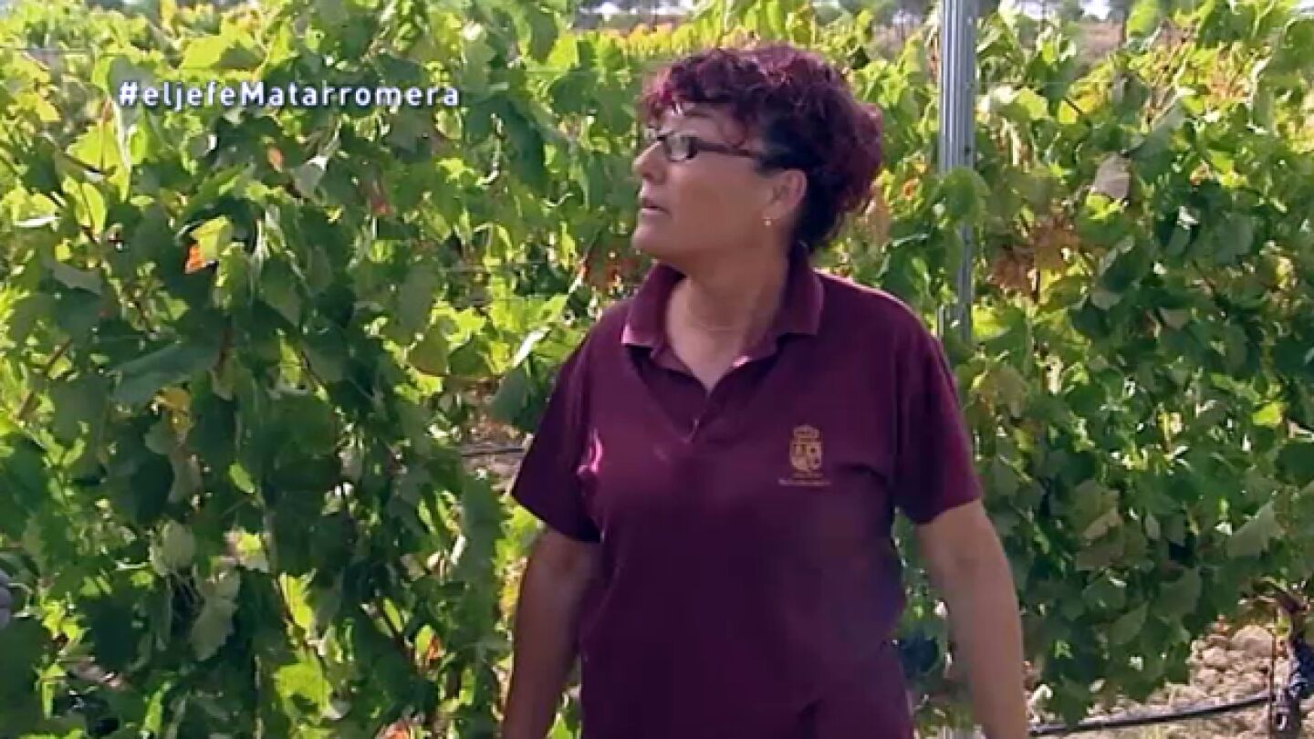 faboila la capataz