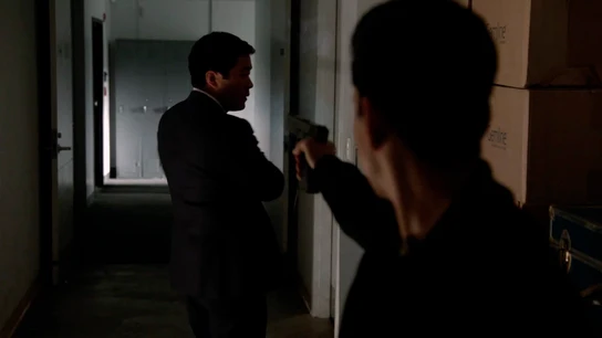 trampas para atrapar a la rata trampas para atrapar a la rata