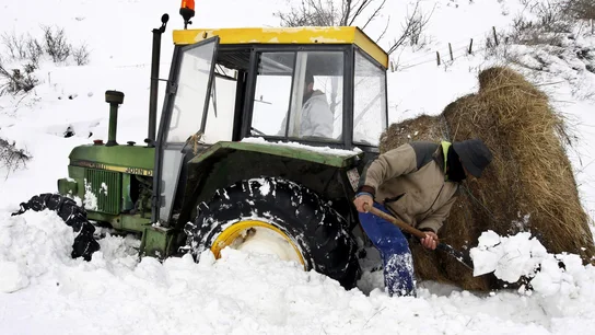 Intenta quitar la nieve Intenta quitar la nieve